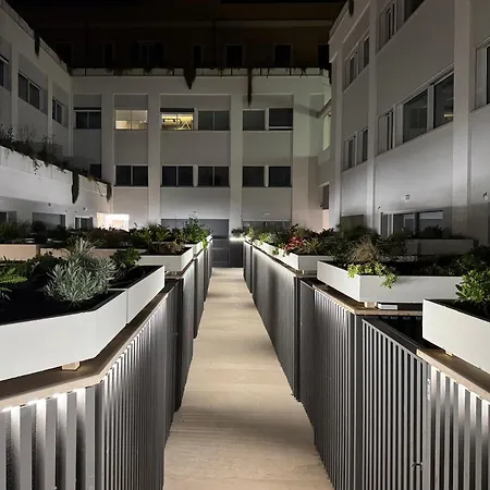 Labicum Xxii - Modern Near The Colosseum *