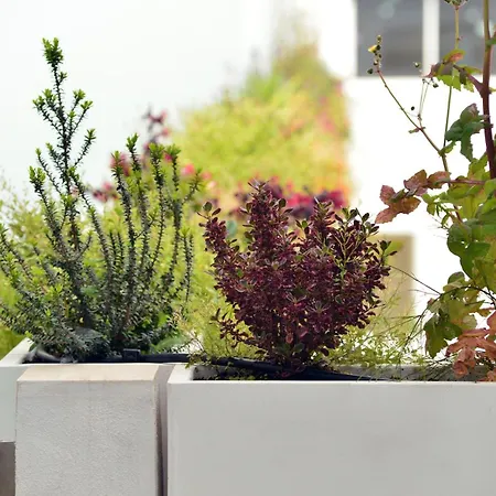 Labicum Xxii - Modern Luxury Near The Colosseum Rom